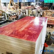 客户购买36尺广西木模板的六个要求